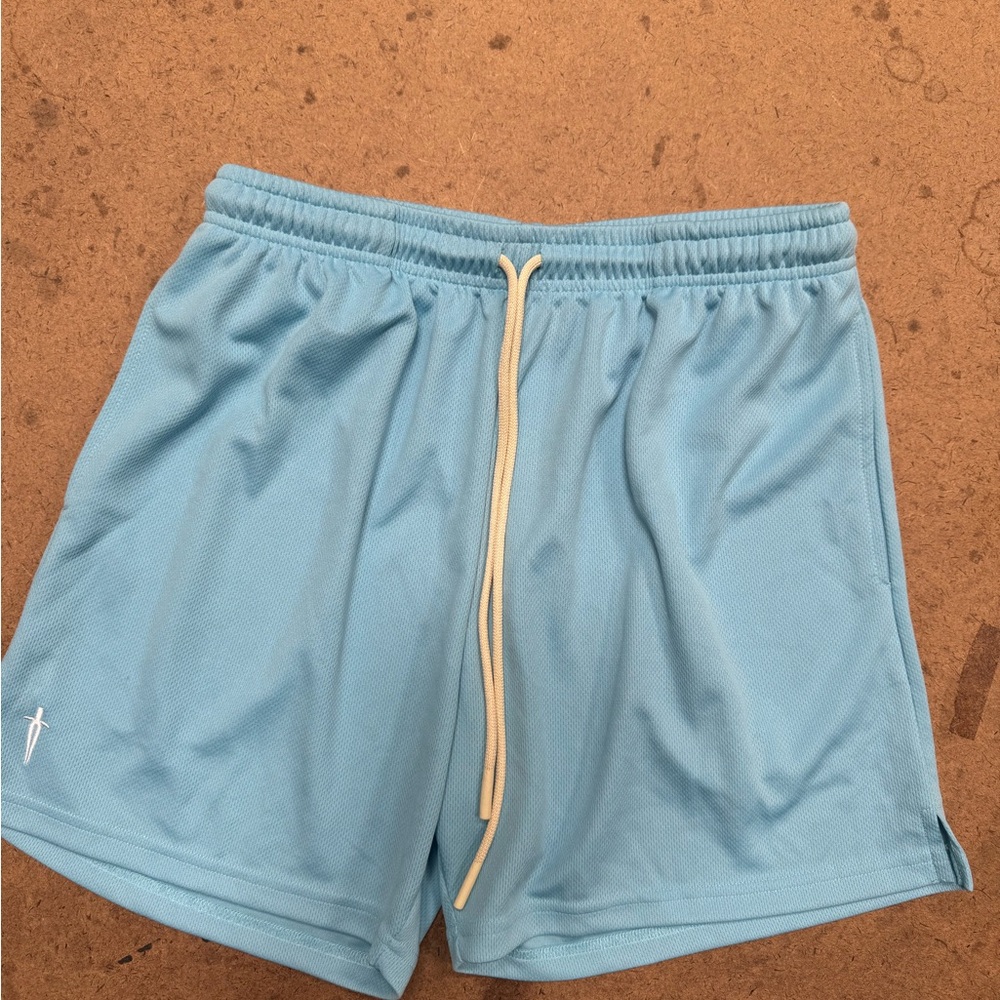 Ironwilled university blue mesh shorts
